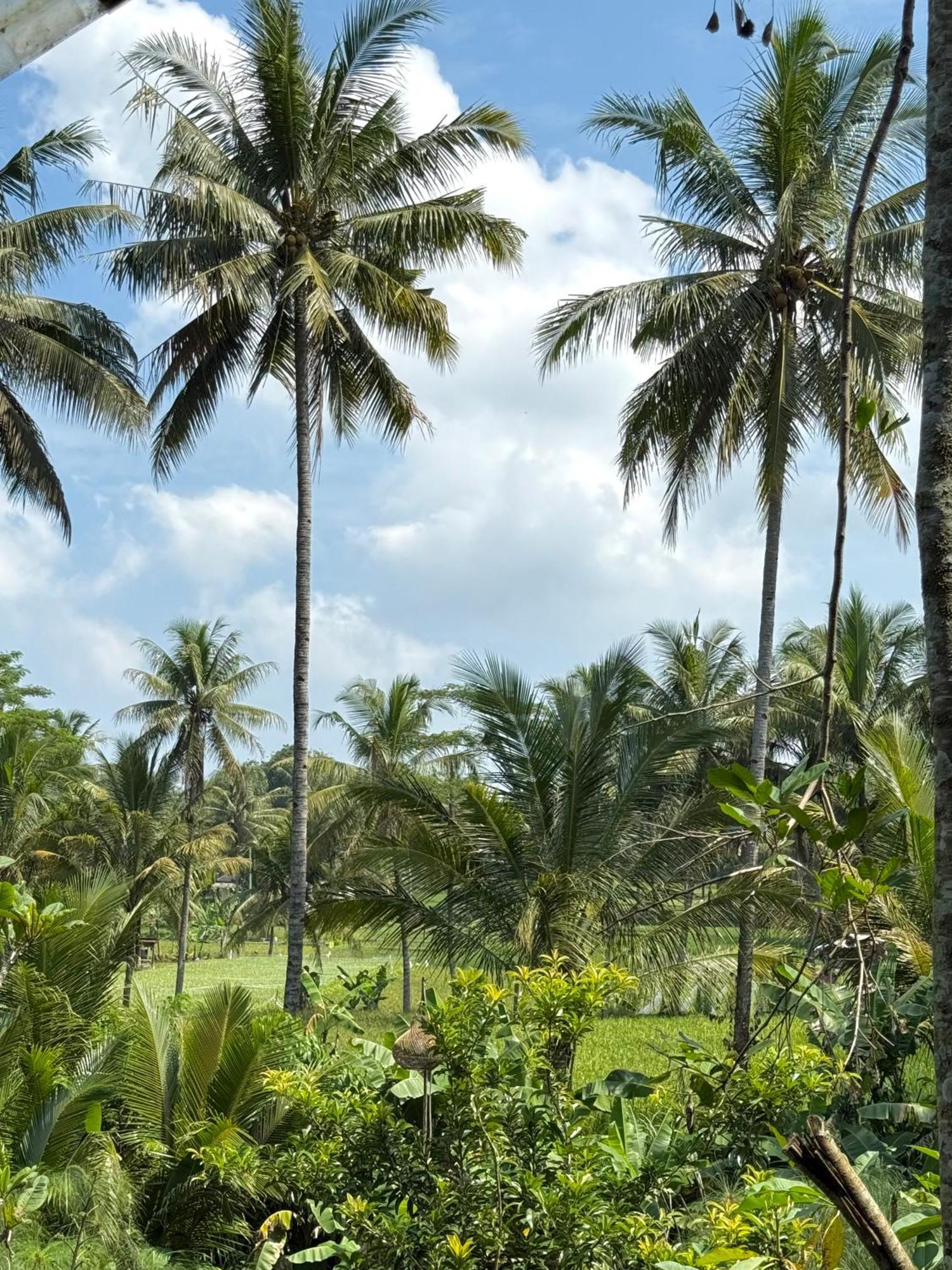 Villa Padi Cangkringan Экстерьер фото